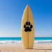 Surf Team Tryouts Thumbnail